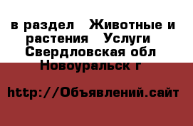  в раздел : Животные и растения » Услуги . Свердловская обл.,Новоуральск г.